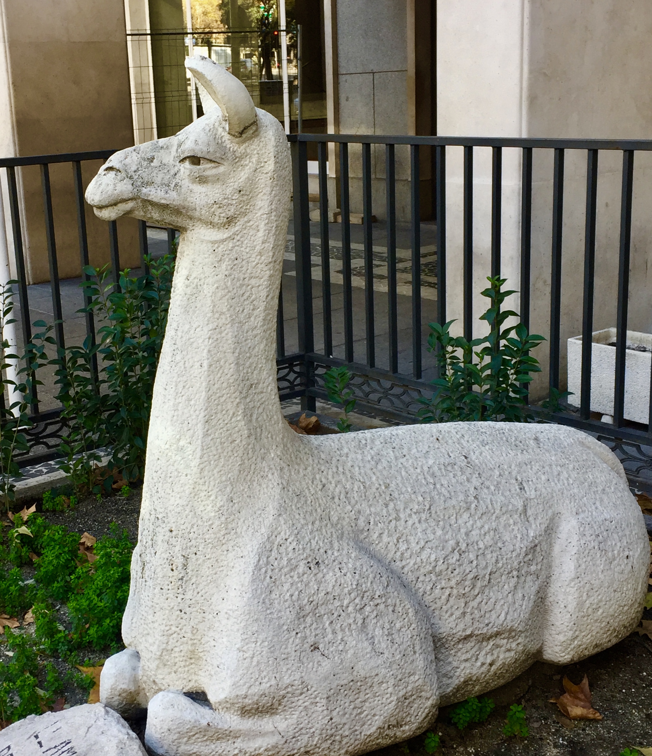 Agustín Neira - Esculturas de animales 8.	«Llama del Perú», de José M.ª Palma Burgos